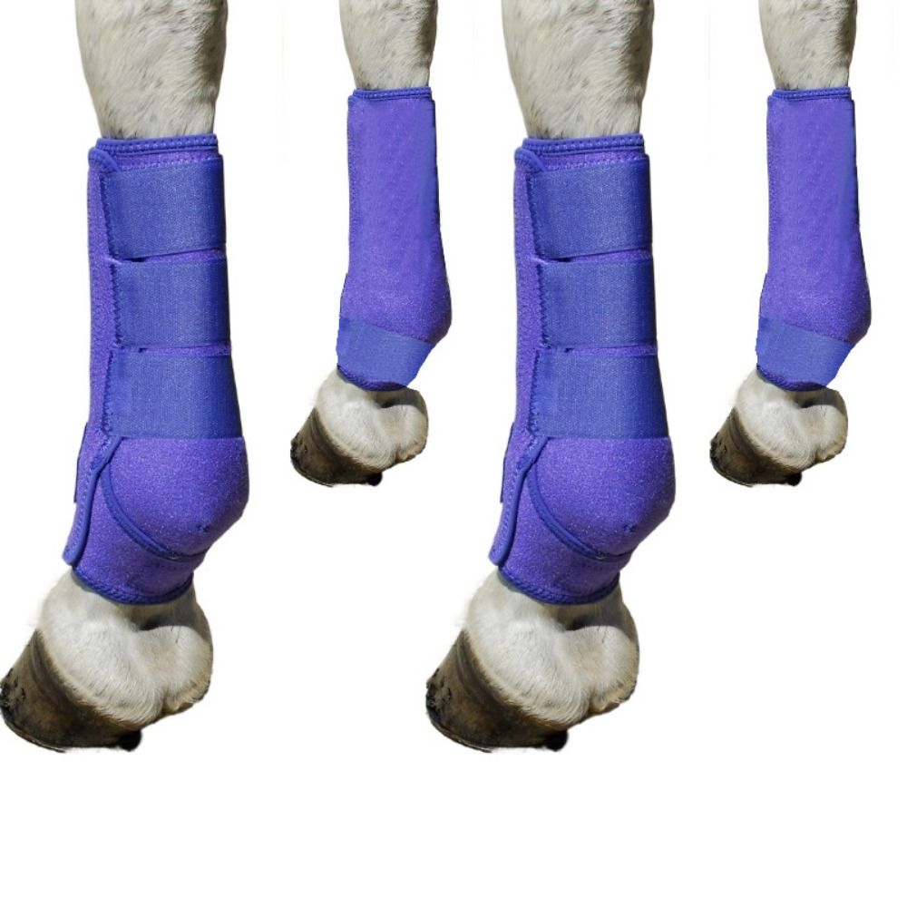 4個セット カラフルな馬用スポーツブーツセット 3サイズ 通 - Brushing Boot Horse のレビューと価格